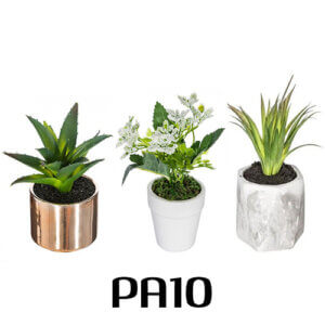 plante artificielle tunisie